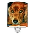 thumbnail image 1 of Carolines Treasures 7315CNL Irish Setter Serious Ceramic Night Light, 1 of 1