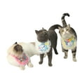thumbnail image 2 of Kashima and Peanuts Birthday Saliva Towel, Happy Birthday Cat Outfit, Cat Birthday Party Supplies, 2 of 5