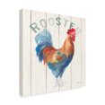 thumbnail image 2 of Trademark Fine Art 'Rooster Panel' Canvas Art by Danhui Nai, 2 of 4
