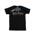 thumbnail image 1 of Harry Potter Girls Full Colour Logo Cotton T-Shirt, 1 of 3