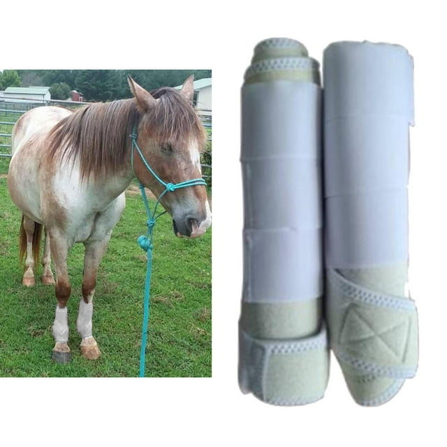 1 Leg Equestrian Front Hind Tendon Boot Leg Horse Training Jumping Boot Leg Protective Gear Impact-Absorbing, Breathable - White