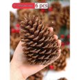 thumbnail image 1 of 11-12cm 6pcs Natural Pine Cones, Large Pinecone,Natural Pinecone Ornaments Big Pinecones for Autumn and Winter Decor, 1 of 5