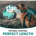 thumbnail image 6 of Embark Adventure Pro Leash with Mountain Climbing Rope and Carabiner. Unmatched Strength & Durability, 6ft, Colourful, and Sturdy Nylon Dog Leashes for Small, Medium, Large Breed Dogs, 6 of 7