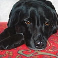 thumbnail image 2 of Roll, Dylnn 26x26 Black Ornate Wood Framed with Double Matting Museum Art Print Titled - Dlynns Dogs - Tallulah, 2 of 4