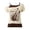 C-Beige144, variant on DHFJKG Summer T Shirts For Women Short Sleeve Fashion Asymmetrical 2 In 1 Top Casual Graphic Tee Cute Y2K Vintage Clothing Stylish Tops