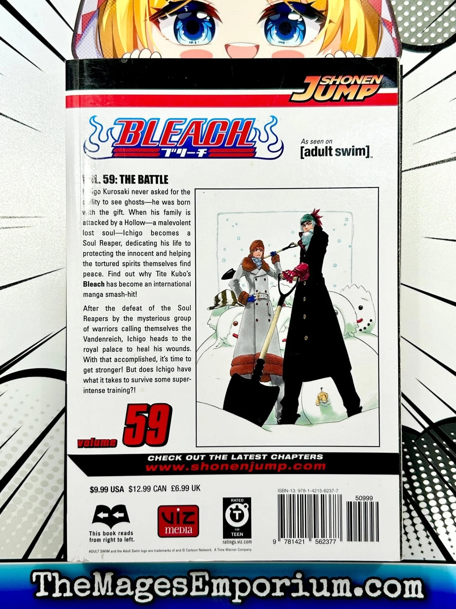 Bleach, Vol. 59, (Paperback) - Walmart.com