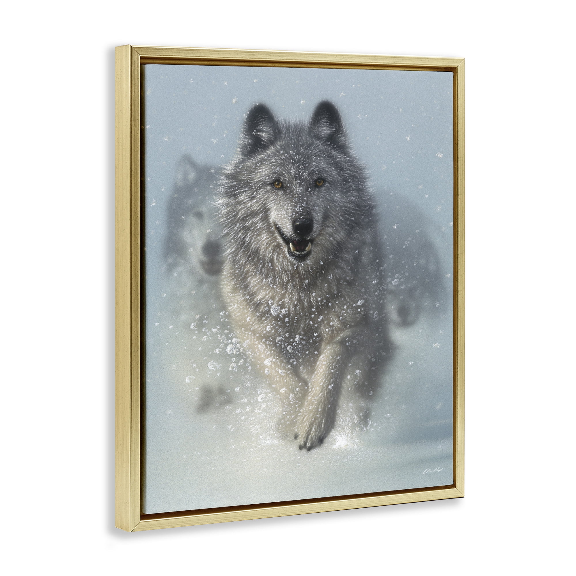 Stupell Industries Wolves Running Through Snow Animals & Insects Photography Gold Floater Framed Canvas Art Print Wall Art, 25 x 31