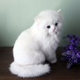 thumbnail image 3 of Interactive Companion Silver Cat with White Mitts, 3 of 5