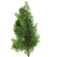thumbnail image 2 of Artificial Pine Pick Realistic Fake Greenery Stem Faux Leaf Branch for Christmas, 2 of 10