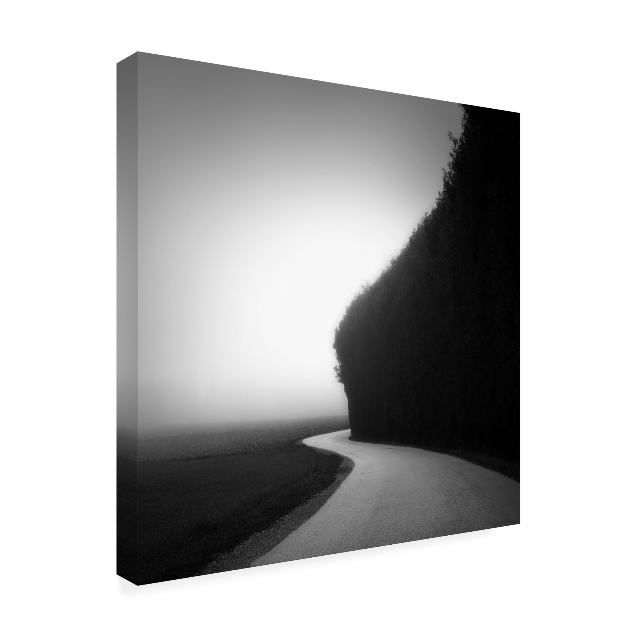 Canvas Wall Art - Alexej Schulz 'Aeon' Wall Art for Living Room, Bedroom, or Office Décor by Trademark Fine Art - 14 x 14 Inches