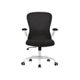 thumbnail image 1 of Silla de Oficina Bluelander, Silla Ergonómica, Altura Ajustable Reclinable 90°, Soporte Lumbar, Descansabrazos, Blanco/Negro, 1 of 3