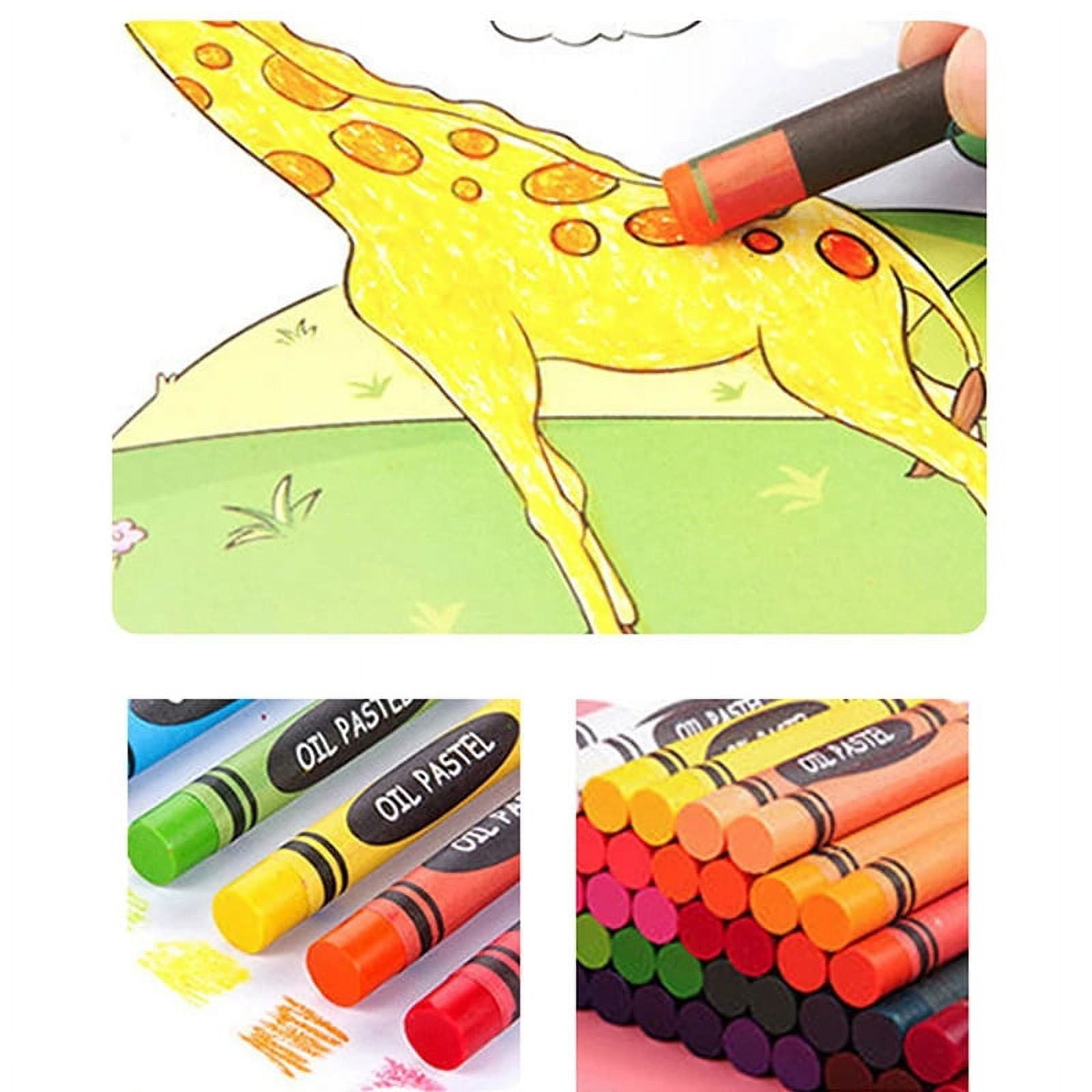  H & B 208-Piece Art Supplies Kit for Painting & Drawing,Kids  Art Set Case, Portable Art Box, Oil Pastels, Crayons, Colored Pencils,  Markers, Great Gift for Kids, Girls, Boys, Teens
