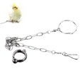 thumbnail image 1 of Amdohai Pet Parrot Ankle Foot Chains Stainless Steel Bird Rings Outdoor Flying Training Activity Opening, 1 of 8