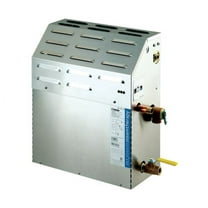 eSeries 10kW Steam Bath Generator at 240 volts