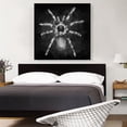 thumbnail image 2 of ARTCANVAS Tarantula Spider Black White Canvas Art Print - Size: 36" x 36" (1.50" Deep), 2 of 9