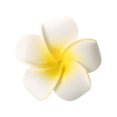 thumbnail image 3 of Side Clamp Hawaiian For Bridal Wedding Party Beach Holiday Wreath Headdress Hair Accessories DIY Egg Blossom Hair Clips Flower Headwear Hairpin Hair Barrette WHITE, 3 of 8