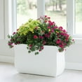 thumbnail image 4 of Mayne Valencia 36" x 16" x 22" Tall Rectangular White Plastic Planter, 4 of 10