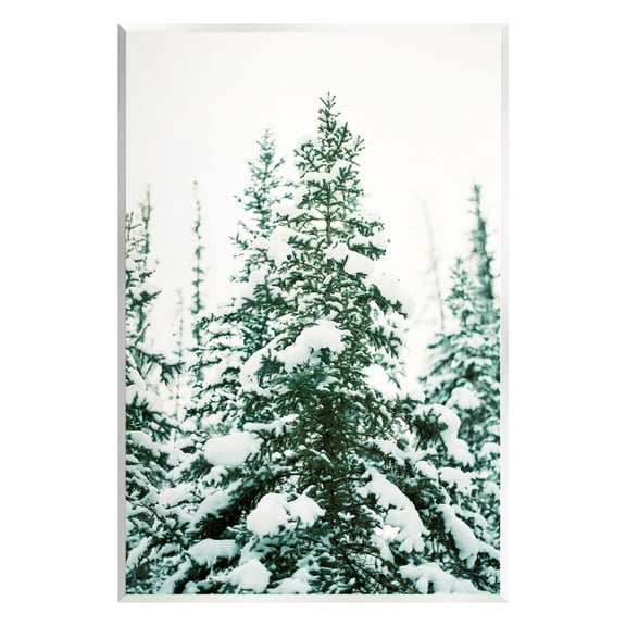 Stupell Industries Woodland Fir with Snow Landscape Photography Unframed Art Print Wall Art, 10 x 15