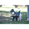 thumbnail image 4 of Pupasaurus Rex Dog Costume Large, 4 of 4