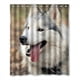 thumbnail image 1 of Cortina de Ducha ABPHQTO Impermeable Estampado Husky 150x180 cm, 1 of 2