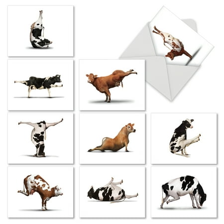 M6545TYG M6545TYG Bovine Nirvana' 10 Assorted Thank You Note Cards Featuring Fun and Flexible Cows Perfecting Various Yoga Poses with Envelopes by The Best Card