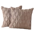 thumbnail image 1 of Paquete de 2 fundas de almohada decorativas de terciopelo de lana corta de felpa suave, funda de cojín de estilo lujoso, funda de almohada para sofá, dormitorio, cuadrado, 1 of 7