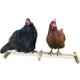 thumbnail image 4 of pollo, barra de madera para posarse, soporte para pájaros para gallinero y Zulema perca de pollo, 4 of 7