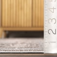 thumbnail image 6 of nuLOOM Xenia Faded Transitional SplashGuard Machine Washable Area Rug, 4' x 6', Xenia Taupe, 6 of 9