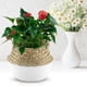 thumbnail image 3 of Organizador de armario plegable y cesto para macetas con diseño de algas marinas florales, color blanco natural, 3 of 8