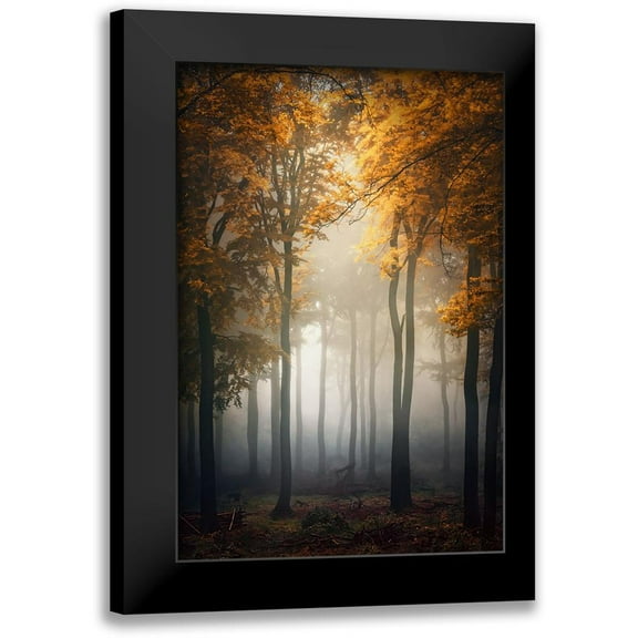 Aurednik, Patrick 11x14 Black Modern Framed Museum Art Print Titled - Fall