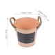 thumbnail image 2 of IFANLANDOR Maceta Metálica Rosa Estilo Retro Para Plantas Ideal Para Jardín Y Hogar, 2 of 8
