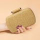 thumbnail image 3 of Bolso Mano Paja para Mujer Con Correa Cadena Bolso Diario Verano para Mujer (dorado), 3 of 9