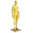 thumbnail image 4 of de Anatomía Masculina Pulgadas - Músculo Y Modelo Escultura de Pintura, Referencia Anatómica para Artistas - M Hugo Figura de anatomía humana, 4 of 9
