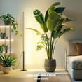 thumbnail image 4 of T10 Pro Standing Grow Light with Timer, 42W, 169 LEDs, Full Spectrum Vertical Grow Light for Indoor, Wide Coverage, 4FT to 5.6FT Height with Foot Switch, Ideal for Flowering and Tall Plants, 4 of 9