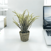 12.99 inch Artificial Fern and Dragontail Grass in Woven Basket Pot-CasaVibe