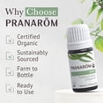 thumbnail image 4 of Pranarom Provence Cypress Organic Essential Oil Diffusion Blend, 4 of 7