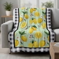 thumbnail image 2 of Lemons Blanket Soft Cozy Warm Throw Blanket for Couch, Plush Fuzzy Flannel Fleece Blankets for Sofa, Summer Botanical Black White Plaid Pastoral Bed Blankets Lightweight Gifts for Women, 32"x48", 2 of 9