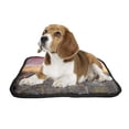 thumbnail image 2 of PKQWTM New York Skyline City Landmark Pet Dog Cat Bed Pee Pads Mat Cushion Potty Dogsblankets Crate Bed Kennel 36x48 inch, 2 of 3