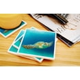 thumbnail image 3 of Hawaii, Sea Turtle (Absorbent Ceramic Coasters Set of 4 Matching Images, Cork Back, Kitchen Table Decor), 3 of 3