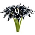 thumbnail image 1 of Nvzi 20 flores artificiales de cala de seda de 34 cm para el Día de la Madre, Pascua, hogar, cocina y bodas (Negro), 1 of 5