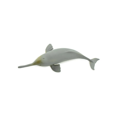Dolphin, Ganges River Dolphin, Hand Painted, Rubber Marine Mammal, Realistic Toy Figure, Model, Replica, Kids, Educational, Gift, 5" CH268 BB124