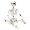 thumbnail image 4 of Durable Terrifying Stability Skull Decoration, Resin Skeleton, For Cemetery Scene Party Decor Halloween House M, 4 of 8