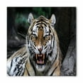 thumbnail image 1 of African Bandana, Roaring Tiger Wildlife, Unisex Head and Neck Tie, by Ambesonne, 1 of 2