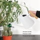 thumbnail image 3 of Regadera Interior, Regadera Pequeña A Prueba De Herrumbre Regadera De Alta Capacidad Regadera De Acero Inoxidable Con Pico Largo Mango De Madera Para Suculentas Bonsai Garden, 3 of 7