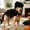 Black, variant on 2026 Dino Skeleton Plush, Dinosaur Skeleton Plush Costume for Dogs and Cats