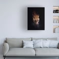 thumbnail image 2 of Canvas Wall Art - Antonyus Bunjamin (Abe) 'Drinking' Wall Art for Living Room, Bedroom, or Office Décor by Trademark Fine Art - 18 x 24 Inches, 2 of 4