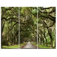 thumbnail image 2 of Design Art Live Oak Tunnel Photography Canvas Art Print, 2 of 2
