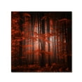 thumbnail image 2 of "Red Parallel Universe" Canvas Art by Philippe Sainte-Laudy, 2 of 4