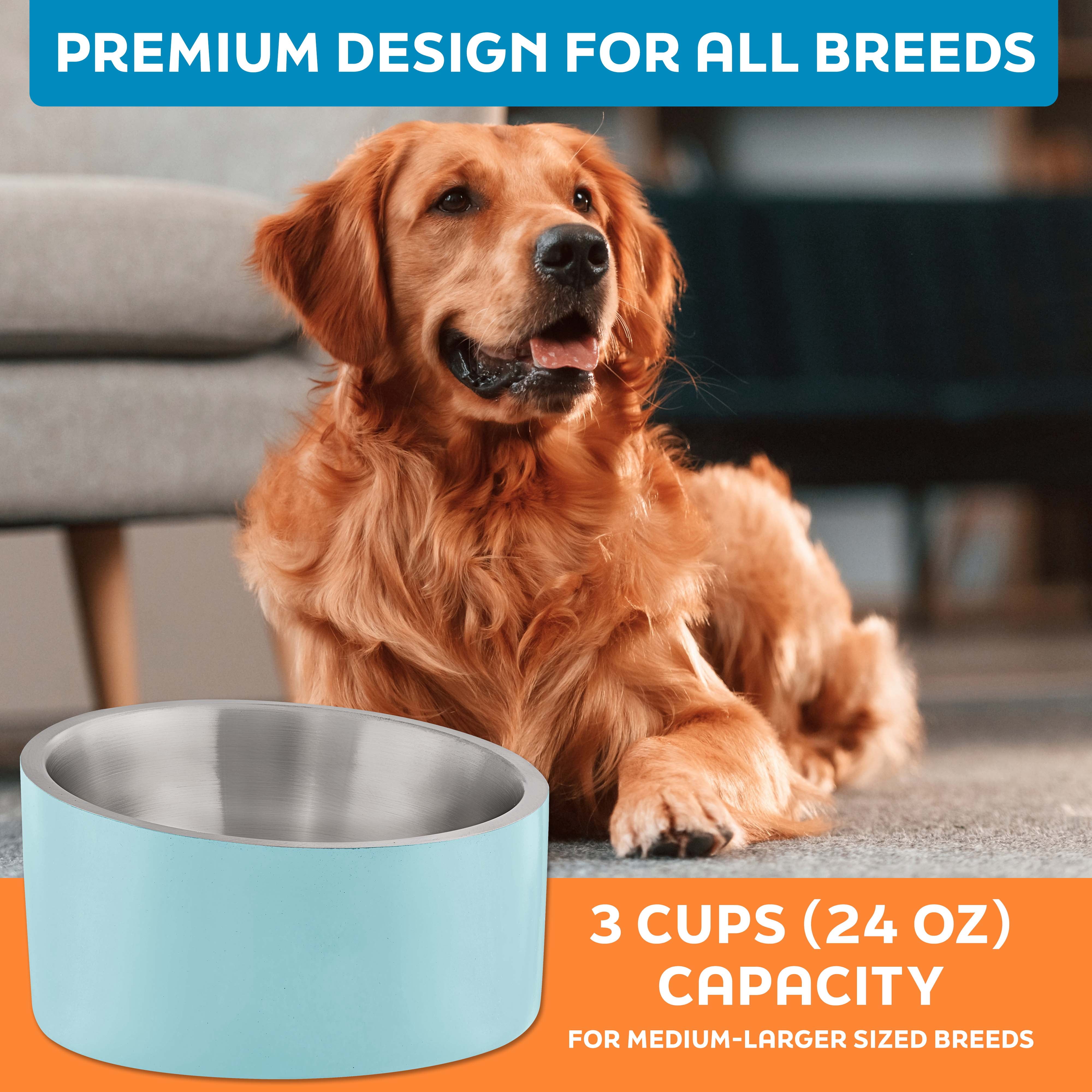 Master Pet Supply Stainless Steel Slanted Dog Cat Food Bowl - 24 oz Heavy Duty - Aqua Sky, Double Wall Insulated, Non-Slip Elevated Bowl for French Bulldogs Pugs Cats, Anti Rust Dishwasher Safe