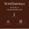 thumbnail image 4 of Cubes de cire parfumée ScentSationals - Sugar & Spice, 4 of 5